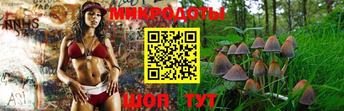 Псилоцибиновые грибы мухоморы Чебоксары