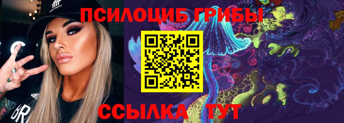 Галлюциногенные грибы GOLDEN TEACHER  Вход с VPN  купить наркоту  Галлюциногенные грибы GOLDEN TEACHER  Чебоксары 